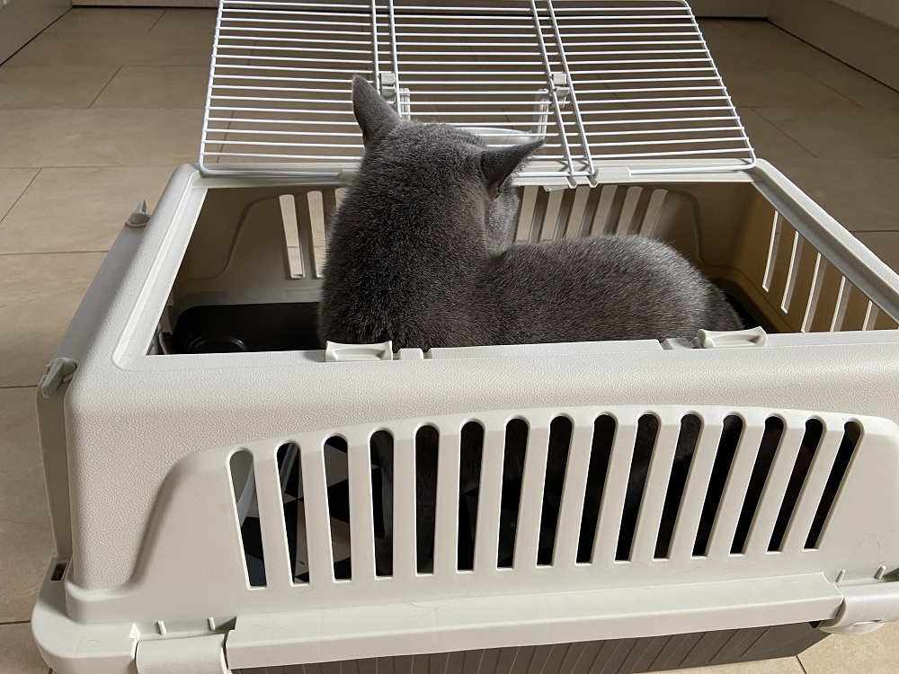 Transportbox für Katze